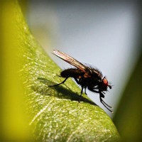 /album/meguro-usagi/photolia-a04-jpg/