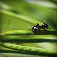 /album/meguro-usagi/photolia-a05-jpg/