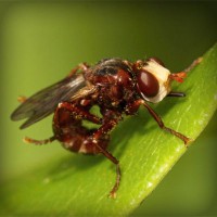 /album/meguro-usagi/photolia-a06-jpg/