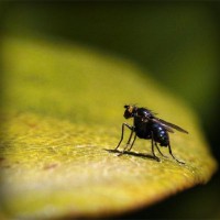 /album/meguro-usagi/photolia-a07-jpg/